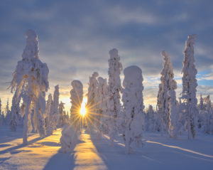 Snow covered landscape in winter, Valtavaara, Patoniemi, Kuusamo, Nordoesterbotten, Pohjois Pohjanmaa, Finland, Suomi Snow covered landscape in winter, Valtavaara, Patoniemi, Kuusamo, Nordoesterbotten, Pohjois Pohjanmaa, Finland, Suomi